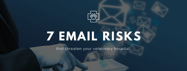 7 email risks