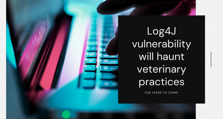 Log4J vulnerability