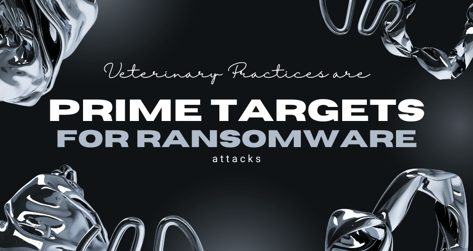 PRIME TARGETS FOR RANSOMWARE